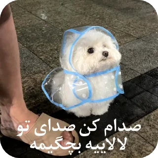 Telegram sticker 🌨 یاسلین