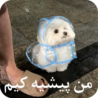 Telegram sticker 🌨 یاسلین