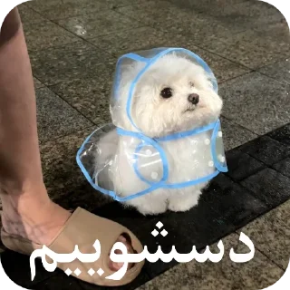 Telegram sticker 🌨 یاسلین