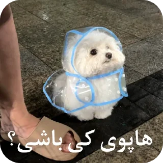 Video sticker 🌨 یاسلین