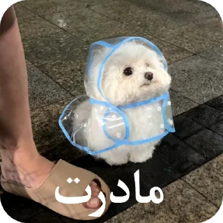 Telegram sticker 🌨 یاسلین