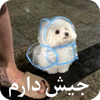 Telegram sticker 🌨 یاسلین