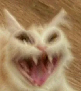 Telegram sticker 🐱 ستيكرات نويره🦦