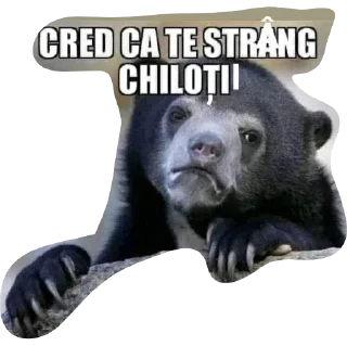 Sticker 😂 🕶️