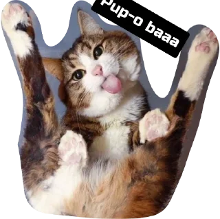 Telegram stiker 😂 🕶️