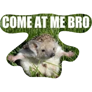 Telegram stiker 😂 🕶️