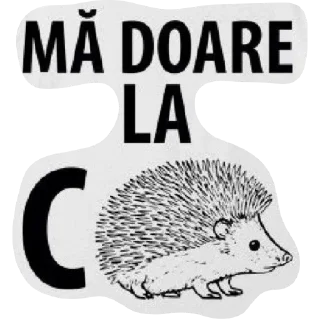 Telegram stiker 😂 🕶️