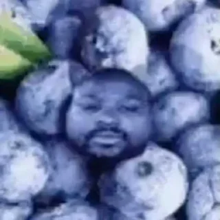 Video sticker 🫐 EVAAAAAA ➡️ @EmojiRuBot