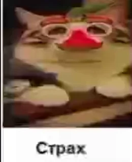 Video sticker 😨 Качан | @komaru_uni