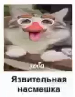 Video sticker 😝 Качан | @komaru_uni