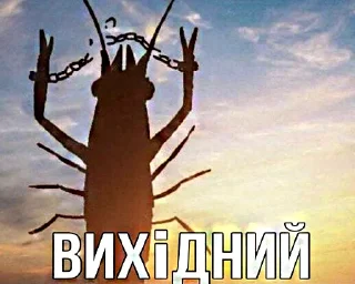 Telegram sticker 😇 ворк щiiii