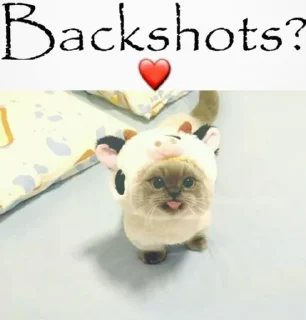 Video sticker ❤️ @AniPackBot اختصاصی هما ❤️