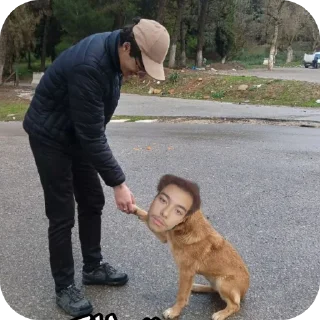 Telegram sticker 🐶 العيال و الشلة