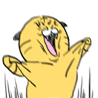 Video sticker 😀 냥면성 고랑이 드디어 등장!