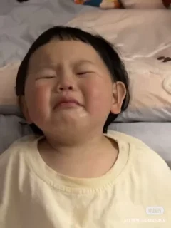 Video sticker 🌟 Controversial Ladybug :: @fStikBot