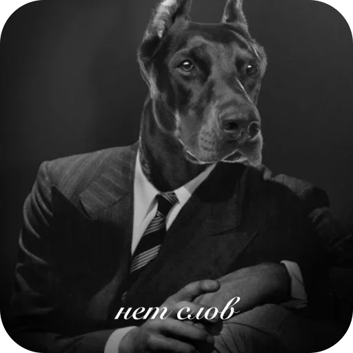 Telegram sticker 🫥 @sticksbb <— больше стиков💓💘💞