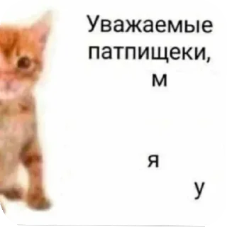 Telegram sticker 🤲 гандопляс