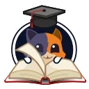 Video sticker 📚 @raika Game