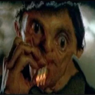 Video sticker 😳 WhatWasThat?