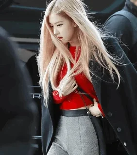Telegram sticker ❤️ @BLACKPINK