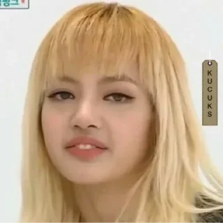 Telegram sticker 😒 @BLACKPINK