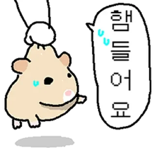 Telegram sticker ⭐ 만찢햄 모음