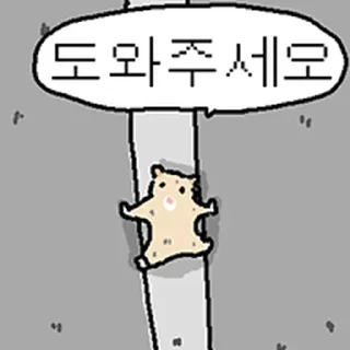 Video sticker ⭐ 만찢햄 모음