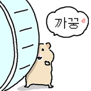 Sticker ⭐ 만찢햄 모음