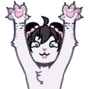 Video sticker 🙌 Kei Lion
