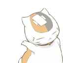 Video sticker 🐱 Natsume Yuujinchou