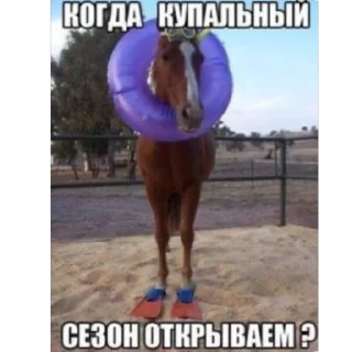 Video sticker 🫥 Moe