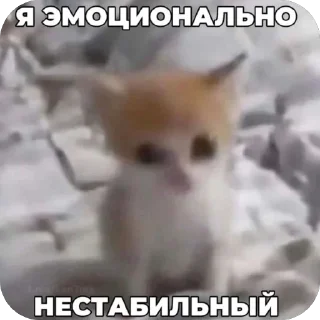 Telegram sticker 🫥 Moe