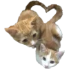 Sticker 🐈 stickers by @eri_home :: @fStikBot