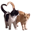 Sticker 🐈 stickers by @eri_home :: @fStikBot
