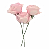 Sticker 💐 stickers by @eri_home :: @fStikBot
