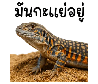 Telegram sticker 😊 @JKSSTIK30