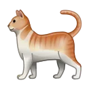 Video sticker 🐈 🐱 ᴍᴇᴏᴡ�...