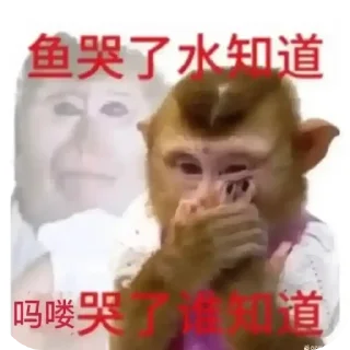 Telegram stiker 🤲 魔丸肠粉 @wwaccf