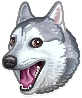 Video sticker 🐶 @Animals_are_our_friends 🐶 — @stckrRobot