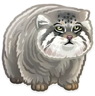 Sticker 🐱 @Animals_are_our_friends 🐶 — @stckrRobot