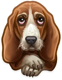 Video sticker 🐶 @Animals_are_our_friends 🐶 — @stckrRobot