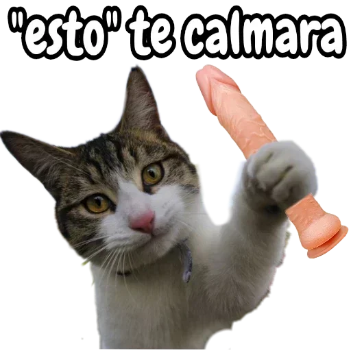 Telegram sticker 🍆 𒀱​𝕭𝖑𝖆𝖈𝖐 ⃟᪥𝖙𝖉𝖋᪥⃟〲
