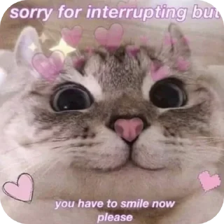 Telegram sticker 🫠 Made with Love – Hazi Edition ✨