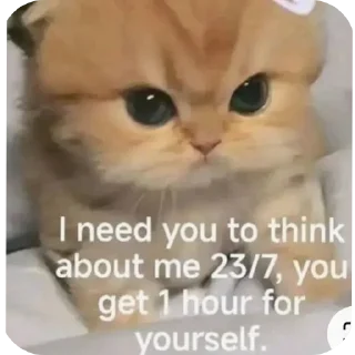 Video sticker 🐱 Made with Love – Hazi Edition ✨