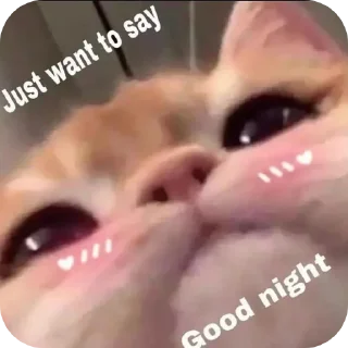 Telegram sticker 🌙 Made with Love – Hazi Edition ✨