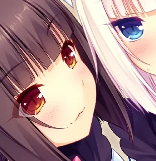 Video sticker 🌟 h-scenes by sayoneko :: @fStikBot