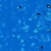 Video sticker 🤩 Neon bursts @Bobbe...