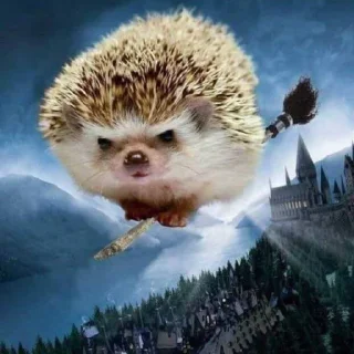 Telegram sticker 🤩 Chukariki 2