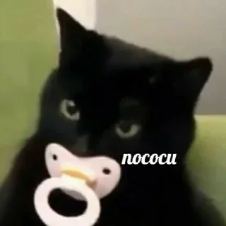 Video sticker 🖕 На все случаи жизни