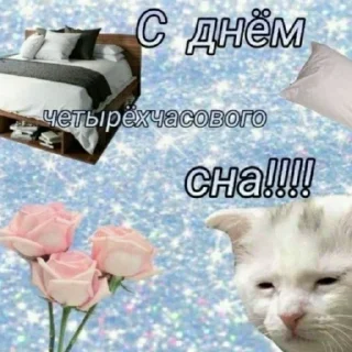 Video sticker 😼 На все случаи жизни